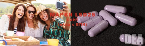 PSILOCYBIN Аркадак