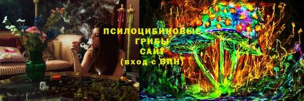 PSILOCYBIN Аркадак