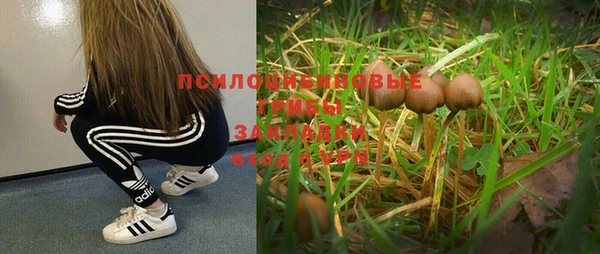 круглые Арсеньев