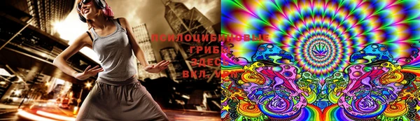 PSILOCYBIN Аркадак